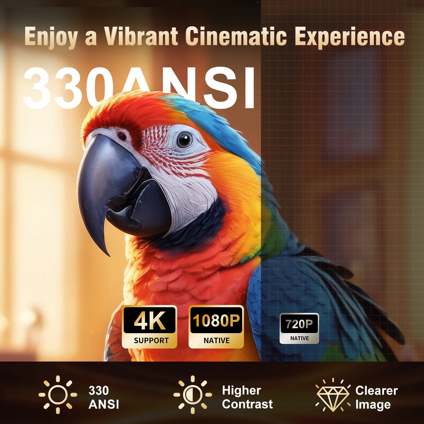 Colorful parrot with 4K and 1080P display features on a dark background